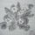 Filccel_1139263_4498_t