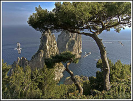 Capri-sziget