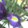 Dsc00014_1130762_9657_t