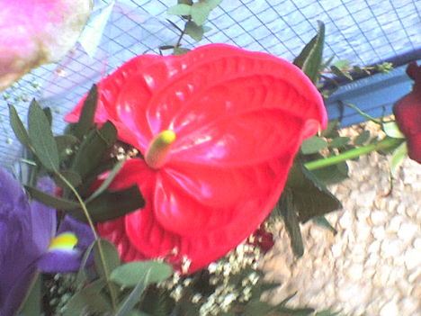 DSC00020