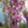 Judasfa_2011_1130203_6809_t