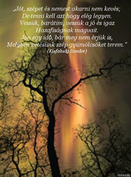 Kisfaludy Sádor idézet