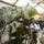 Konnyezo__palma_1_1103911_4176_t