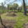 S6304492_1103504_5344_t