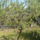 S6304498_1103505_3448_t
