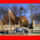 Sopron_4_1013694_5198_t