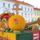 Virag_karneval_1013182_3647_t