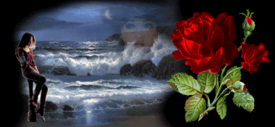 vizes2