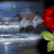 vizes2