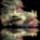 Vizes4_1130131_2581_t