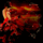 Wwwtvn-012_1013264_9546_t