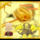 Wwwtvn-013_1013265_9595_t
