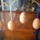 Dsc00174_1141218_2586_t