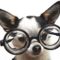 kuty szemüvegbe