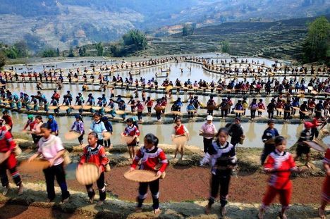 Dél-kelet ázsiai rízs fesztivál