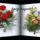 Szep_napot_1142917_9653_t