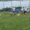 CSALÁDI SPORT-ÉS EGÉSZSÉGNAP 2011. május 21 10