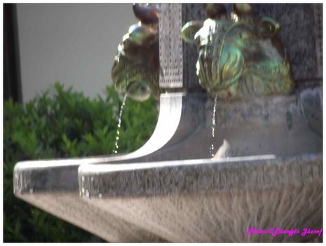 DSCF2980