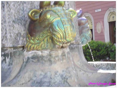 DSCF2981