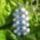 Kep_002-001_1144922_1690_t