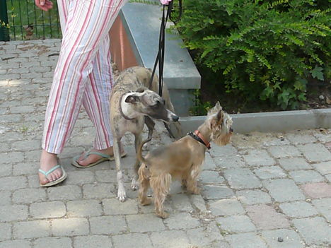 2011