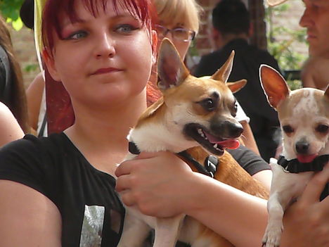 2011