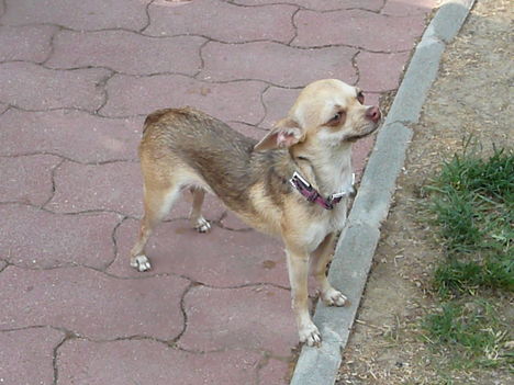 2011