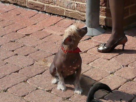 2011
