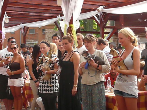 2011