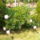 Hpim6592_1145759_5922_t
