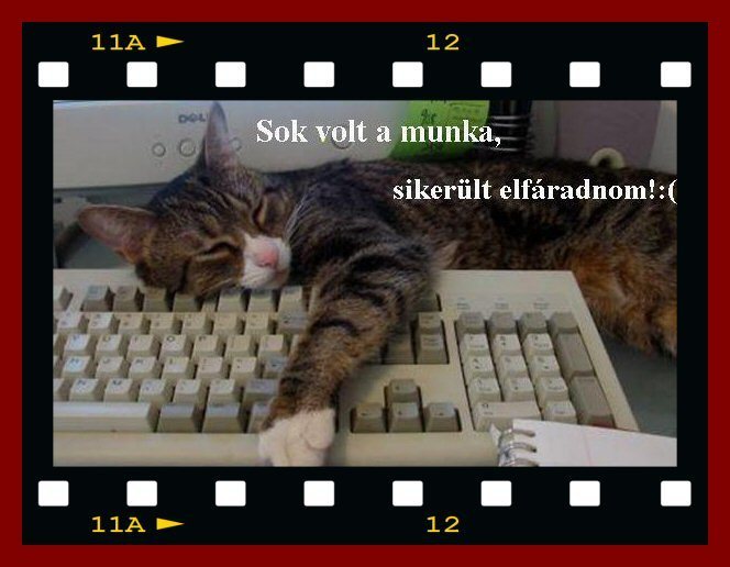 Szamitogep Munka Hose Kep