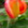 2011_05210017_1147453_6666_t