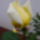 2011_05210028_1147454_4910_t