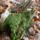 Margit_kilatonal-003_1147954_7352_t