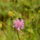 P1010951_1147845_9456_t