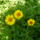 P1080192_1147839_6612_t