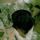 Hanna_labadozik_2_1148943_6105_t