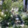 Tavasz_001_1148791_1098_t