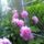 Egy_nagy_csaladot_alkotva__1149727_7459_t