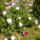 Hpim6609_1149248_5665_t