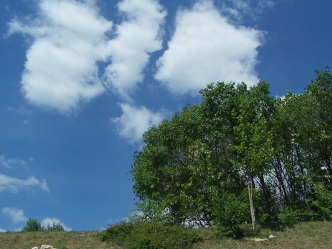 2011 tavasza 059