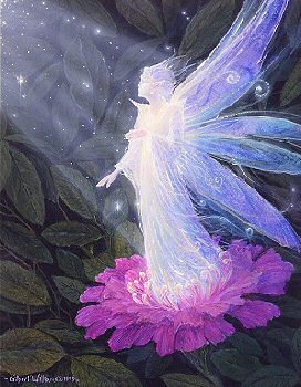 272_fae_flower_gilbert_williams