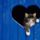 3053_thumb_1104320_3560_t