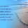 4341i_1104471_2495_t