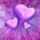 5115_thumb_1104353_8582_t