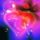 5389_thumb_1104359_4828_t