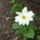 Dscf2590_114045_15013_t