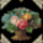 Klmle_1104488_5084_t