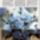 Szegfu__csipkesfogazott_szelu_1014613_8181_t