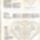 Sziv_mintak_1014829_8158_t